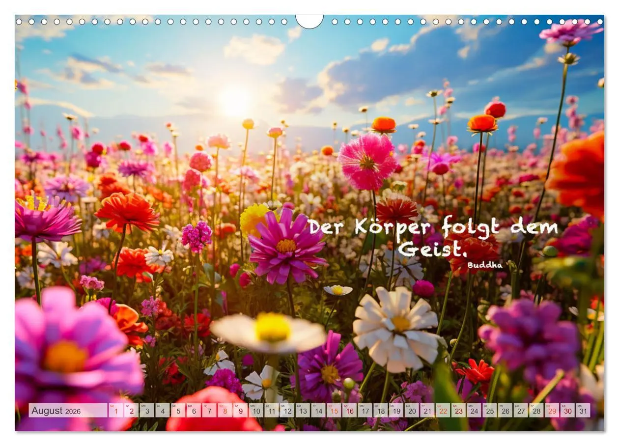 Bild: 9783457531679 | Meditation und innerer Frieden (Wandkalender 2026 DIN A3 quer),...
